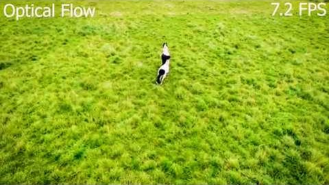 Adobe Premiere Pro CC 2018 | Frame Sampling vs Optical Flow | Slow Motion Video