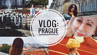 VLOG: ПРАГА - PRAGUE || часть 1