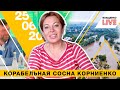 Корабельная сосна Корниенко, Аваков и наводнение, пленки Байден-Порошенко | Влащенко LIVE