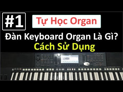 Video: Đàn Organ Là Gì