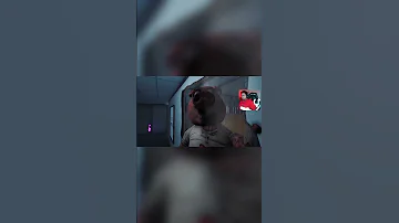 سلامات يا كوكو 