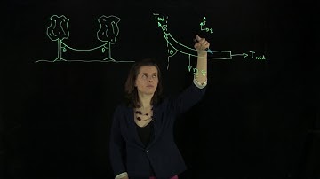 13.1 Rope Hanging Between Trees