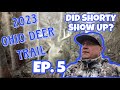Deer hunting 2023 ohio deer trail ep5 late season crossbow hunt did shorty show up