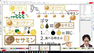 第８回　セサミン