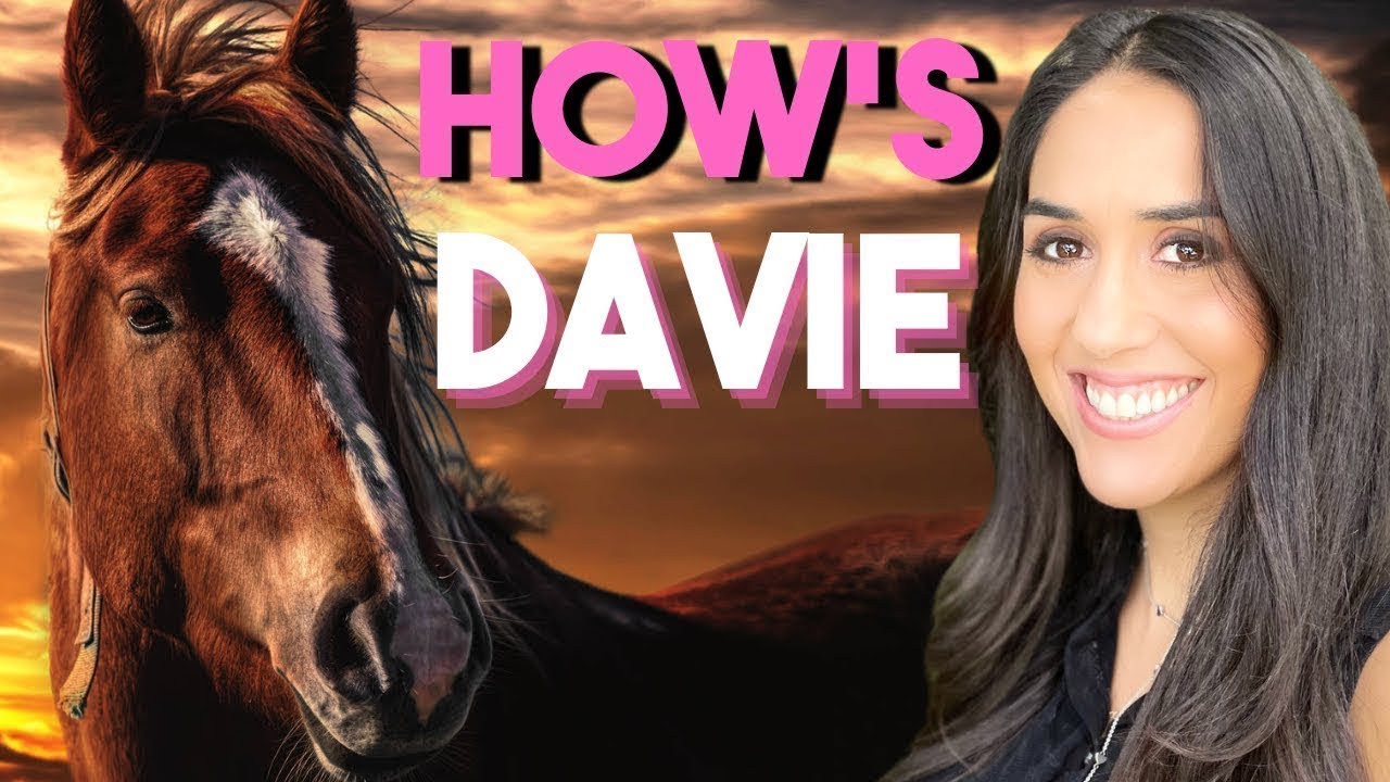 Should You Move To Davie, Florida? Pros & Cons Of Living In Davie