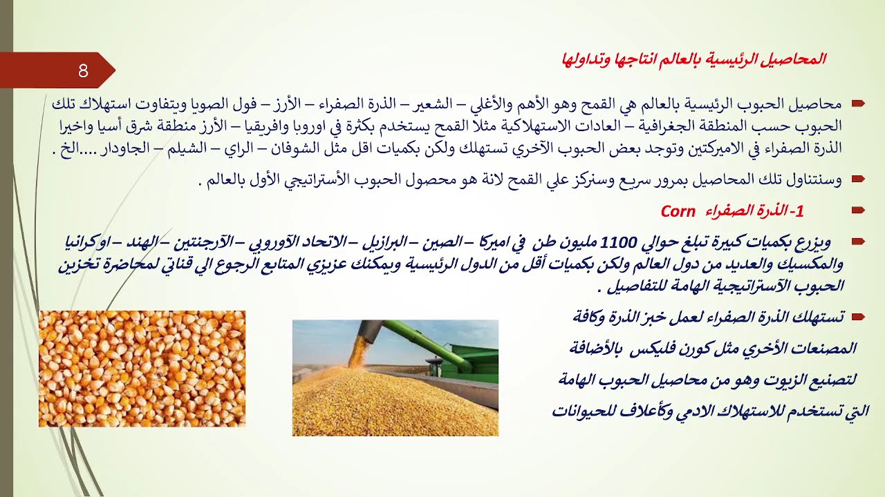 المحاضرة الكاملة الطريق الي شركات المطاحن