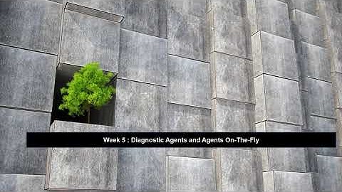 Diagnostic Agent and On-The-Fly