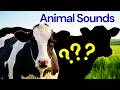 Animal Sounds For Kids 🐮 | Guess the Animal For Toddlers | Guessing Game | Farm Animals