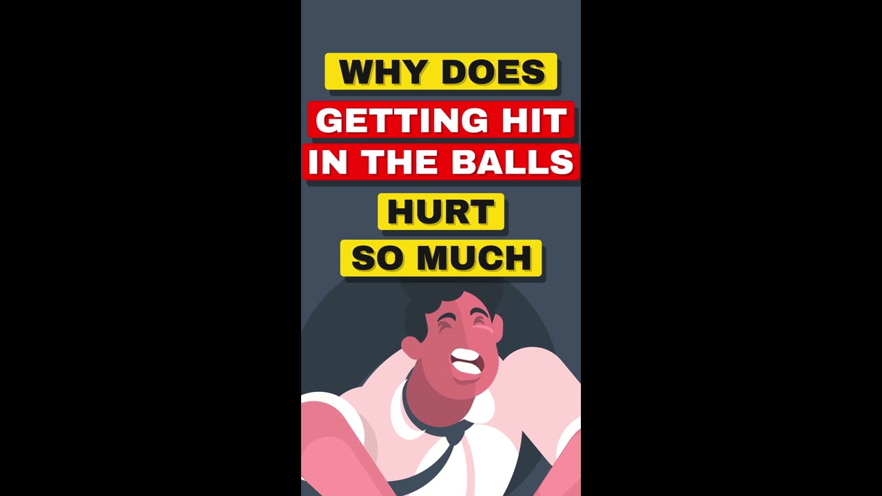 Why Does Getting Hit In The Balls Hurt So Much YouTube Why Does Getting Hit In The Balls Hurt So Much YouTube