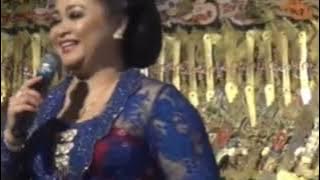 Kutut Manggunge Mbak Nurhana jian angles, lier - lier lan nyamleng.