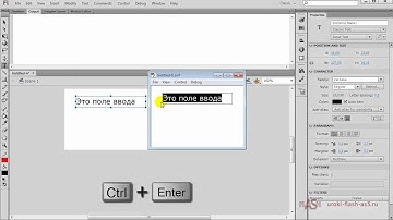 input text field - создание поля для ввода текста во Flash