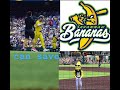 Bro fell for Jackson!@TheSavannahBananas#funny