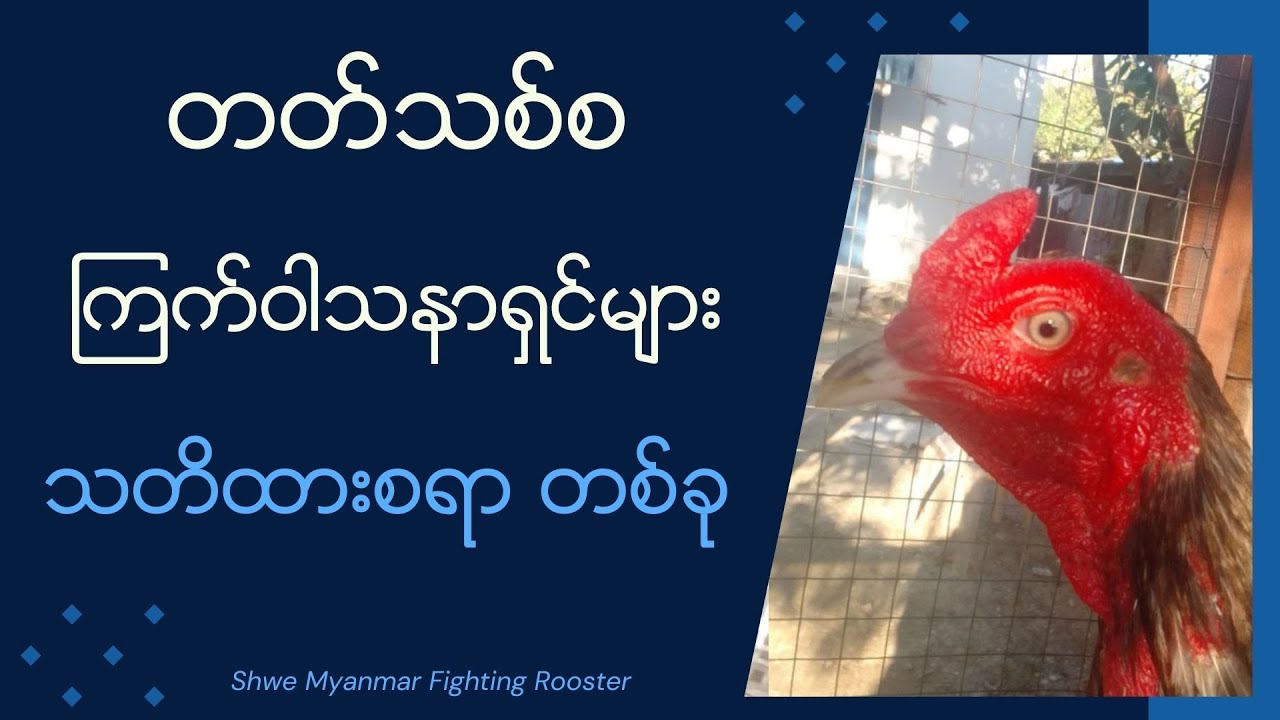 မာန မထားဘဲ ပူးပေါင်းဆောင်ရွက်တတ်ဖို့ လိုတာကို ပြောချင်တာပါ