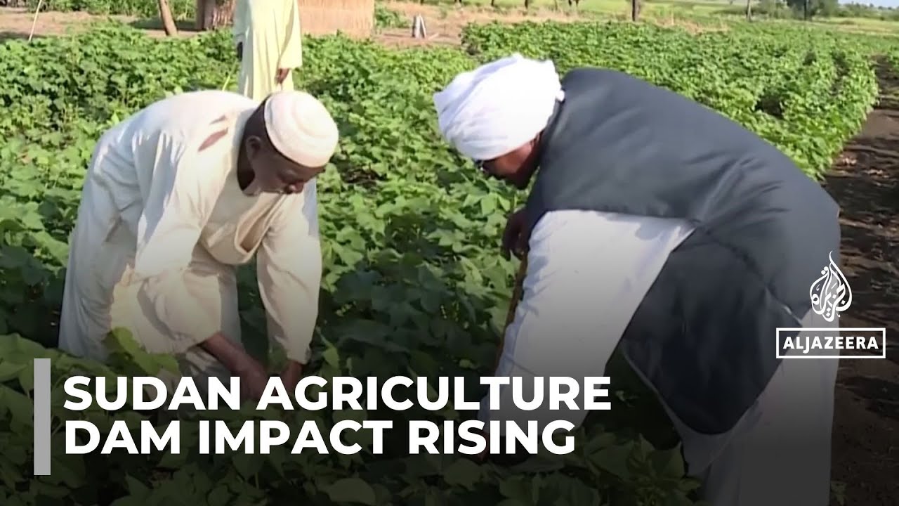 مشروع ضخم في إثيوبيا يُغير الزراعة: مزارعون سودانيون يتبنون ممارسات زراعية جديدة