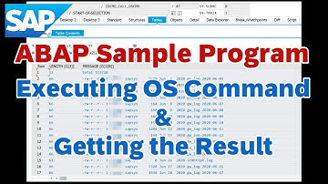 SAP ABAP, Executing the OS Command and getting the result in ABAP Program