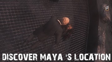 The Gamer bros | Prototype 2 | Discover Maya