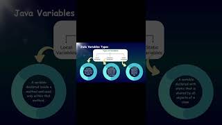Instance Variable in Java Explained | Java Basics in Tamil