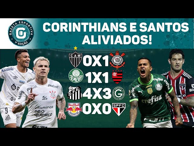 Confira os memes da vitória do Palmeiras sobre Flamengo - Gazeta Esportiva