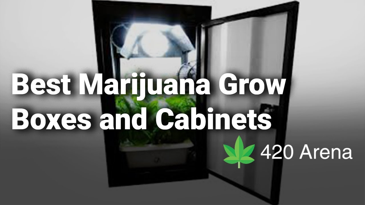 Best Marijuana Grow Boxes And Cabinets Complete Reviews With