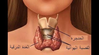 12 تابع التنسيق الهرمونى فى الكائنات الحية شرح الغدة الدرقية