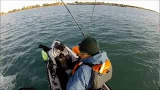 Kayak Fishing Lake Michigan King Salmon