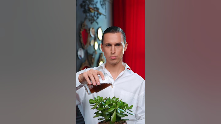 Тот самый инструктор по растениям🌱 #комнатныерастения