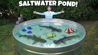 I Built a SALTWATER POND in my BACKYARD!! *sharks*