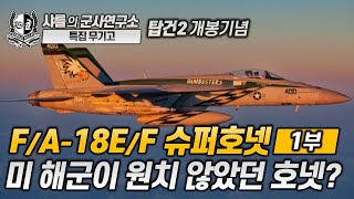 [특집 무기고] F/A-18E/F 슈퍼호넷 1부, 미 해군이 원치 않았던 호넷? #탑건매버릭 #탑건2 #슈퍼호넷