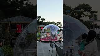 울진봉수항감성카페 투명돔