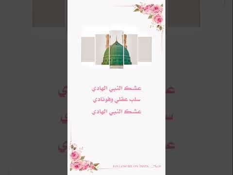 طيبه تسر الانضار نور النبي محليها بصوت المداح احمد ضافر مولد نبوي مبارك على امة محمد ﷺ ستوريات