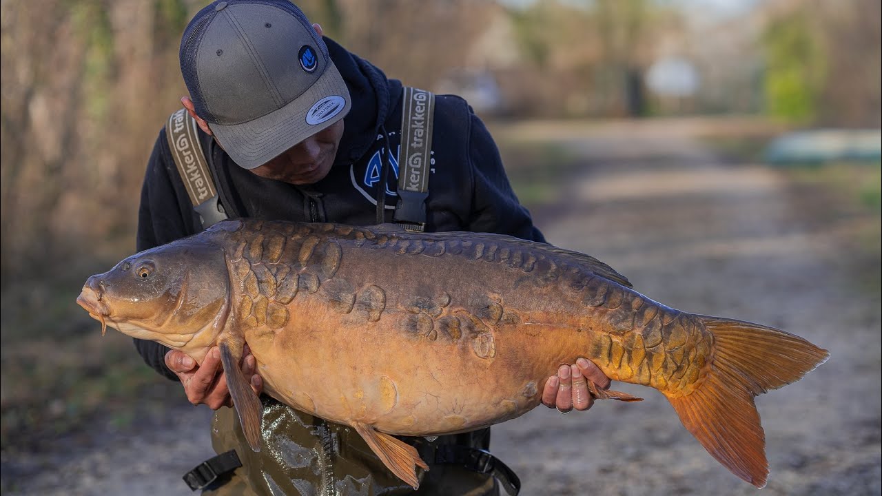 Session Lodgingcarp (La Plaine des Bois 1)