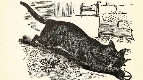 a 0-2 Video Lesson II: The cat has a rat. - McGuffey