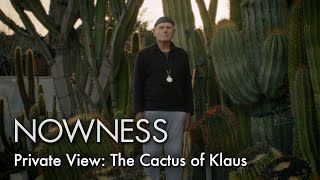 In his Los Angeles cactus garden, artist Klaus Rinke’s philosophy roots his living sculptures