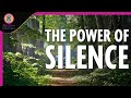 Why we crave silence
