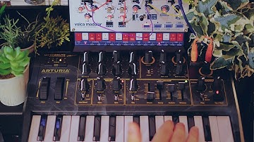 Ambient Synth Jam w/ Volca Modular & Micro Brute