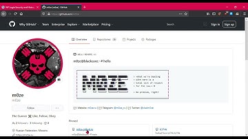 [ WordPress ] WP Login Security and History v1.0 - Authenticated Persistent XSS & XFS / CSRF