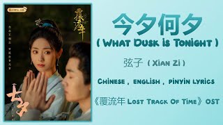 今夕何夕 What Dusk is Tonight - 弦子 Xian Zi《覆流年 Lost Track Of Time》Chi/Eng/Pinyin lyrics