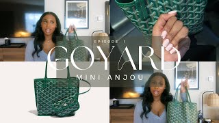 Goyard Mini Anjou Review, What Fits Inside, Mod Shots