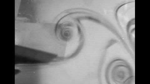 Flow over a Oscillating Foil