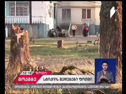 ფოთში ძლიერი ქარის შედეგად მიყენებული ზარალის ანაზღაურება დაიწყო