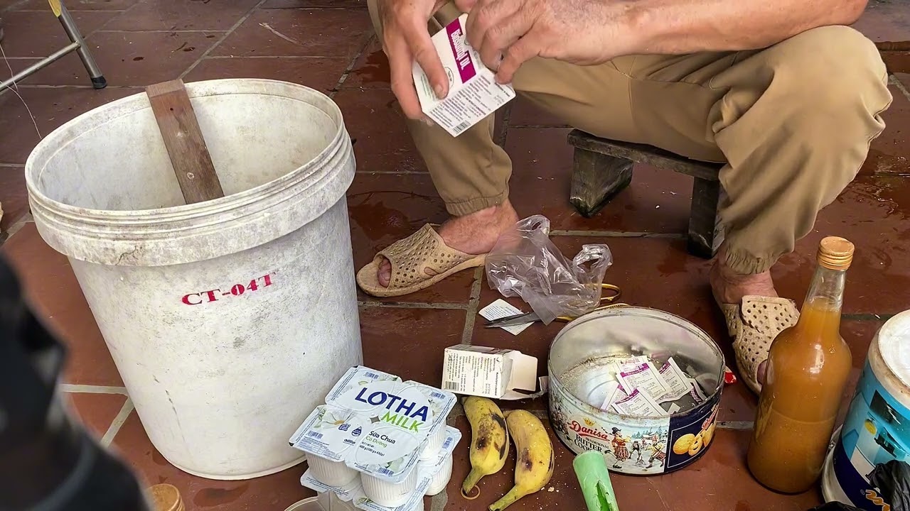 ngày 15 tháng 2, 2026