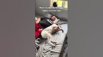 Thumbnail of Her dog is both deaf and blind but can still pick up her scent ❤️