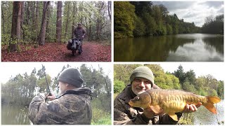 An English carp on St. George’s Day by Stewart Bloor 268 views 2 weeks ago 4 minutes, 46 seconds