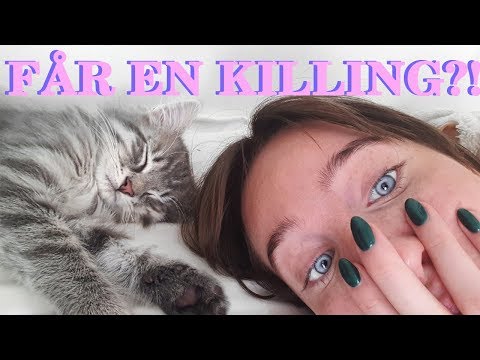 Video: Sådan Overtales Mor Til At Købe En Killing