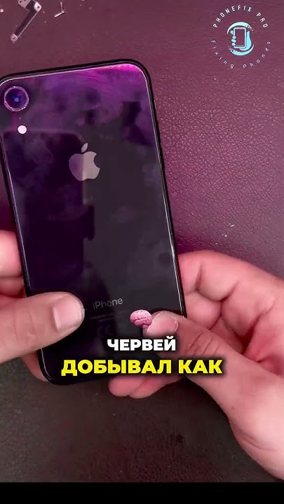 Замена задней крышки 12 Pro max и XR💙💜 #ремонттелефонов #ремонттехники ...