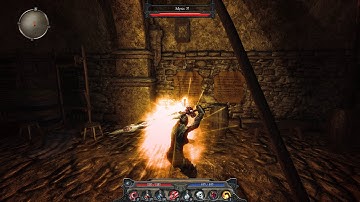 Divinity II: Developer