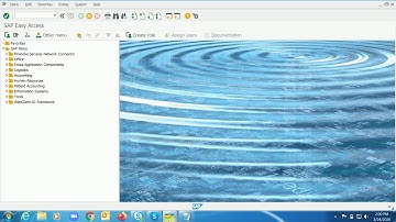 Costing variant - valuation variant/Quantity structure control.