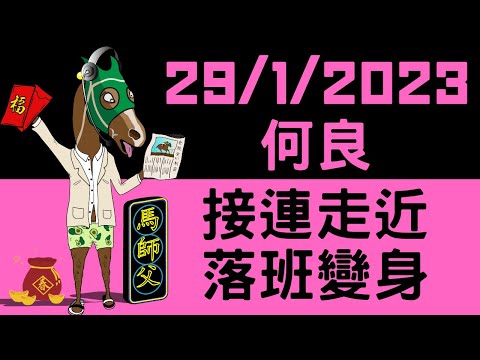 【賽馬貼士】【馬師父】 沙田草泥混合 (1月29日) I 何良大手出擊！連場試準等落班 強配搏馬向馬主交代！#賭一隻wp