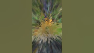 Double Trouble Taliyah + Cursed crown = ? - TFT Set 9