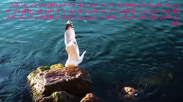 سورة الرحمن من 46 55 للشيخ ياسر الدوسري